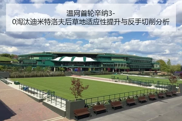 温网首轮辛纳3-0淘汰迪米特洛夫后草地适应性提升与反手切削分析