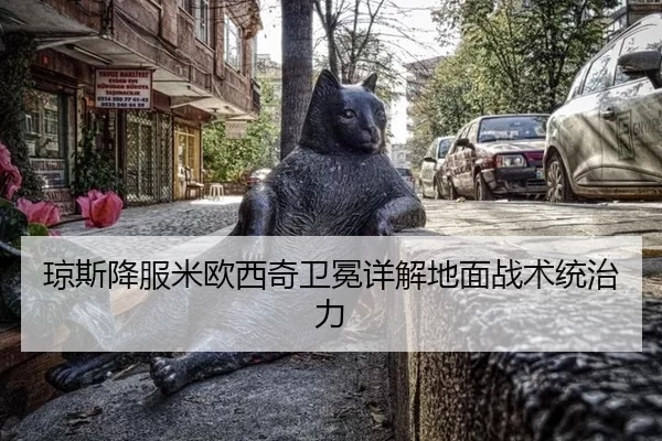 qiong-si-xiang-fu-mi-ou-xi-qi-wei-mian-xiang-jie-di-mian-zhan-shu-tong-zhi-li-2-161.jpg